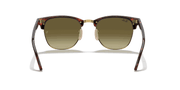 Copper Flash Lenses, Polished Red Havana Frame