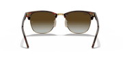 Green Gradient Flash Lenses, Polished Red Havana Frame