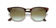 Green Gradient Flash Lenses, Polished Red Havana Frame