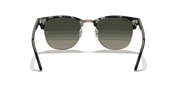 Grey Gradient Lenses, Polished Grey Green Frame