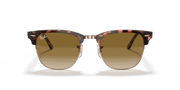 Light Brown Gradient Lenses, Polished Pink Havana Frame