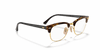 [Clear Lenses, Polished Brown Havana Frame]