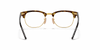 [Clear Lenses, Polished Brown Havana Frame]