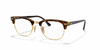 [Clear Lenses, Polished Brown Havana Frame]