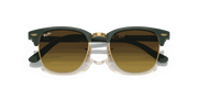 Brown Lenses, Polished Green On Gold Frame