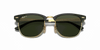 [G-15 Green Lenses, Polished Black On Gold Frame]