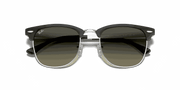 Grey Gradient Lenses, Polished Black On Silver Frame