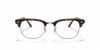 [Clear Lenses, Polished Dark Havana Frame]