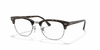 [Clear Lenses, Polished Dark Havana Frame]