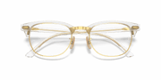 Clear Lenses, Polished Transparent Frame