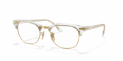 Clear Lenses, Polished Transparent Frame