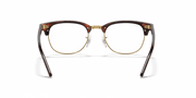 Clear Lenses, Polished Tortoise Frame