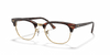 [Clear Lenses, Polished Tortoise Frame]