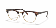 Clear Lenses, Polished Tortoise Frame