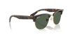 [Dark Green Lenses, Polished Havana Frame]