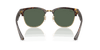 [Dark Green Lenses, Polished Havana Frame]