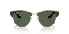 [Dark Green Lenses, Polished Havana Frame]