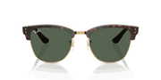 Dark Green Lenses, Polished Havana Frame