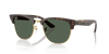 [Dark Green Lenses, Polished Havana Frame]