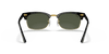 [G-15 Green Lenses, Polished Black Frame]