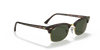 [G-15 Green Lenses, Polished Tortoise Frame]