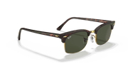 G-15 Green Lenses, Polished Tortoise Frame