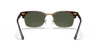 [G-15 Green Lenses, Polished Tortoise Frame]