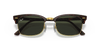 [G-15 Green Lenses, Polished Tortoise Frame]