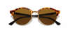 [B-15 Brown Lenses, Polished Brown Havana Frame]