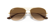 Light Brown Gradient Lenses, Polished Arista Gold Frame