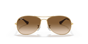 Light Brown Gradient Lenses, Polished Arista Gold Frame