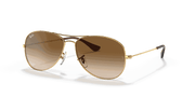 Light Brown Gradient Lenses, Polished Arista Gold Frame