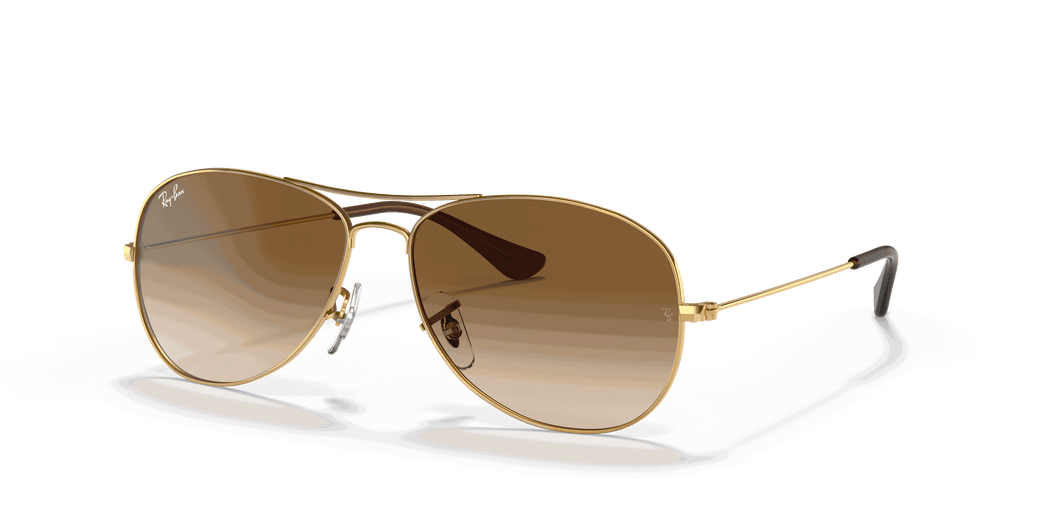 [Light Brown Gradient Lenses, Polished Arista Gold Frame]