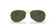 G-15 Green Lenses, Polished Arista Gold Frame