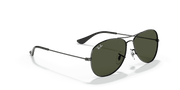 G-15 Green Lenses, Polished Gunmetal Frame