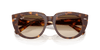 [Clear Gradient Brown Lenses, Polished Light Havana On Transparent Multicolor Frame]