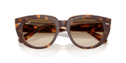 Clear Gradient Brown Lenses, Polished Light Havana On Transparent Multicolor Frame