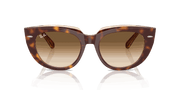 Clear Gradient Brown Lenses, Polished Light Havana On Transparent Multicolor Frame