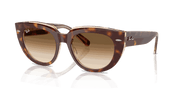 Clear Gradient Brown Lenses, Polished Light Havana On Transparent Multicolor Frame