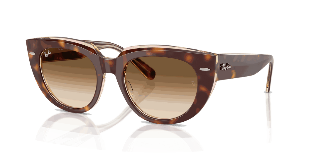 [Clear Gradient Brown Lenses, Polished Light Havana On Transparent Multicolor Frame]