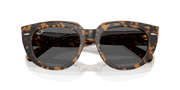 Dark Grey Lenses, Polished Havana On Transparent Brown Frame