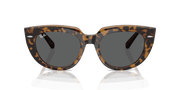 Dark Grey Lenses, Polished Havana On Transparent Brown Frame