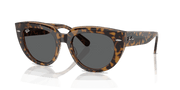 Dark Grey Lenses, Polished Havana On Transparent Brown Frame