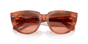 Pink Gradient Brown Lenses, Polished Red Havana On Transparent Multicolor Frame