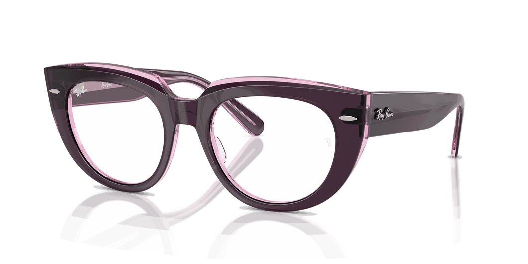 [Clear Lenses, Polished Violet On Transparent Pink Frame]