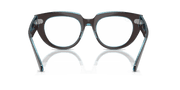 Clear Lenses, Polished Brown On Transparent Blue Frame