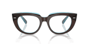 Clear Lenses, Polished Brown On Transparent Blue Frame