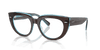 [Clear Lenses, Polished Brown On Transparent Blue Frame]