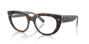 Clear Lenses, Polished Dark Havana On Multicolor Frame