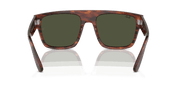 Green Lenses, Polished Striped Havana Frame